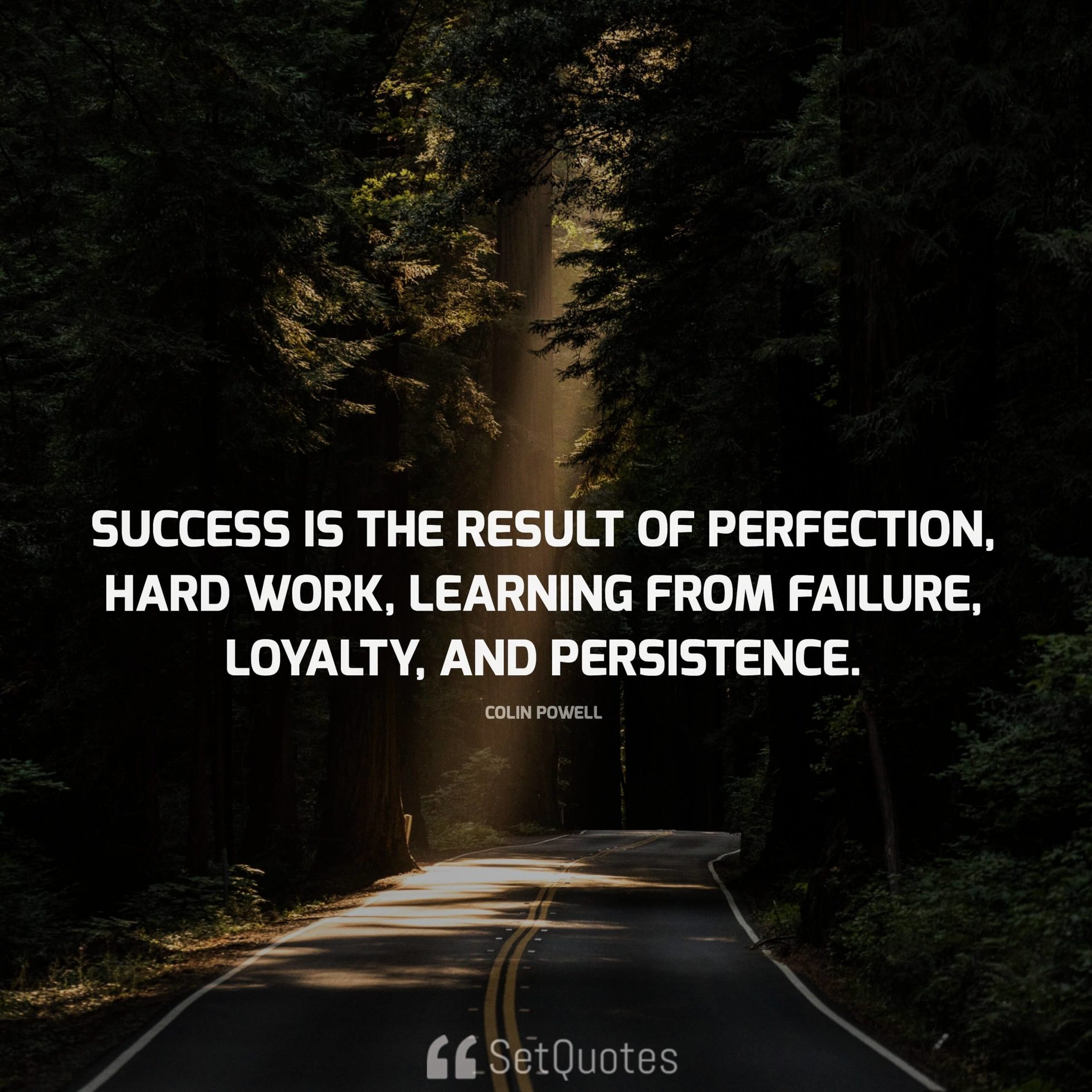 Success is the result of perfection, hard work, learning from failure ...