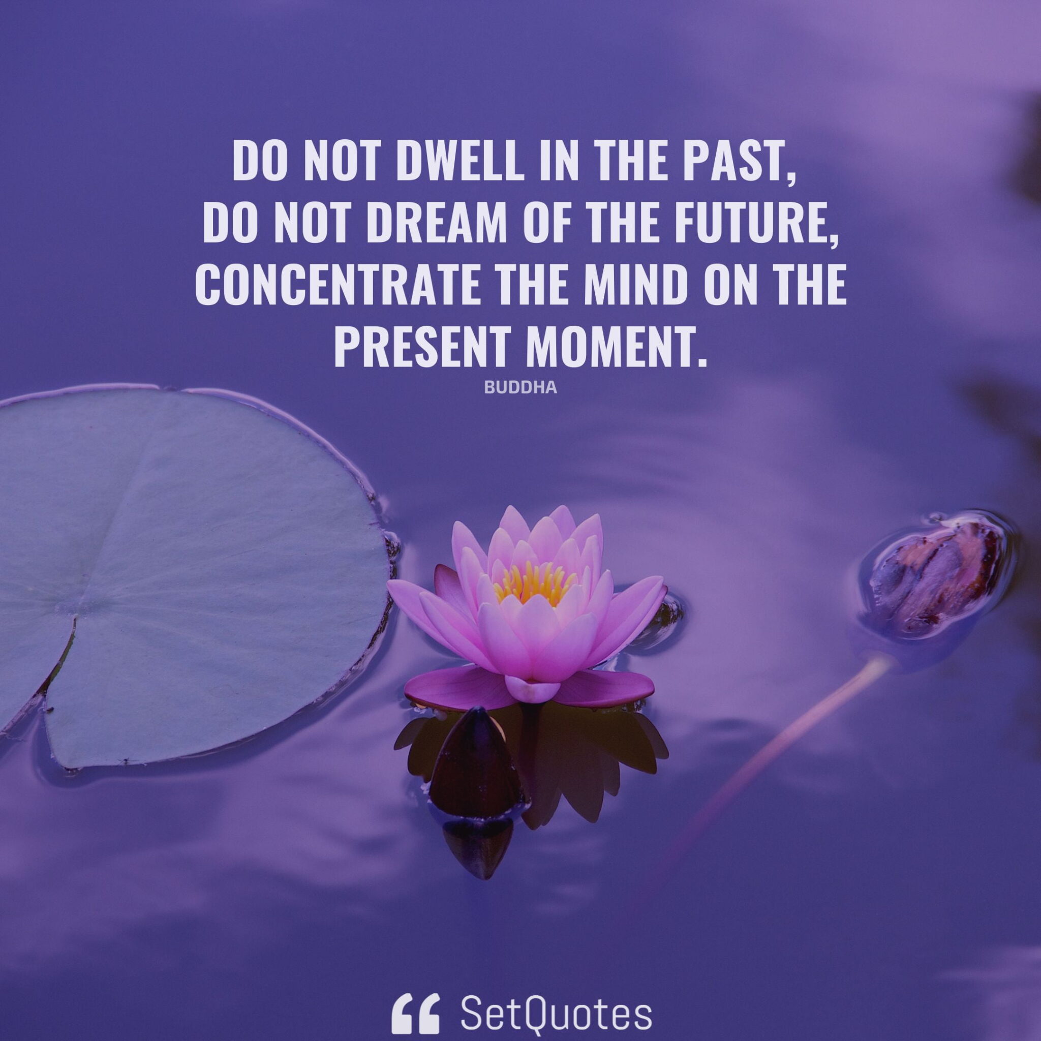 do-not-dwell-in-the-past-do-not-dream-of-the-future-concentrate-the