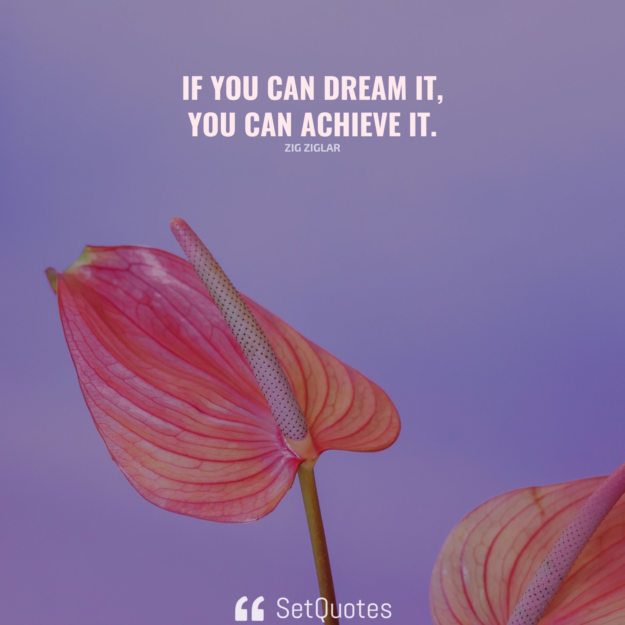 If You Can Dream It You Can Achieve It 