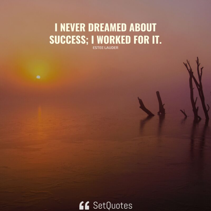 I never dreamed about success; I worked for it.