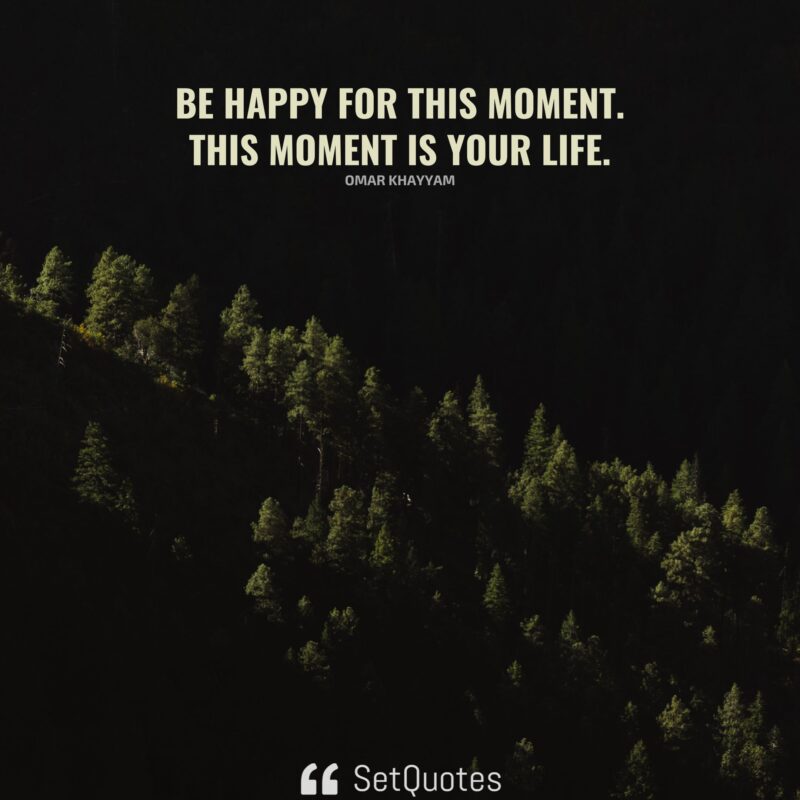 Be happy for this moment. This moment is your life. - SetQuotes